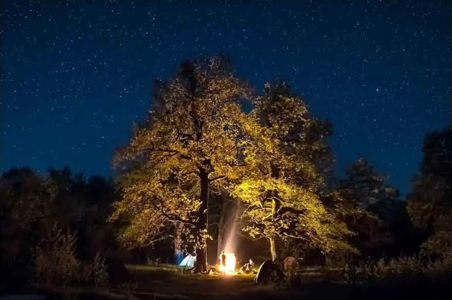 Bonfire under the stars